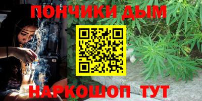 индика Дубна